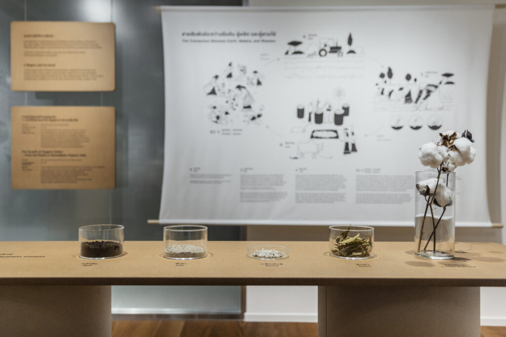 Clothing Basics Natural Materials: The Earth and Organic Cotton