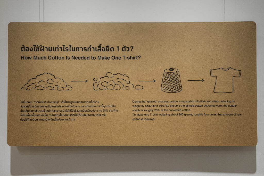 Clothing Basics Natural Materials: The Earth and Organic Cotton