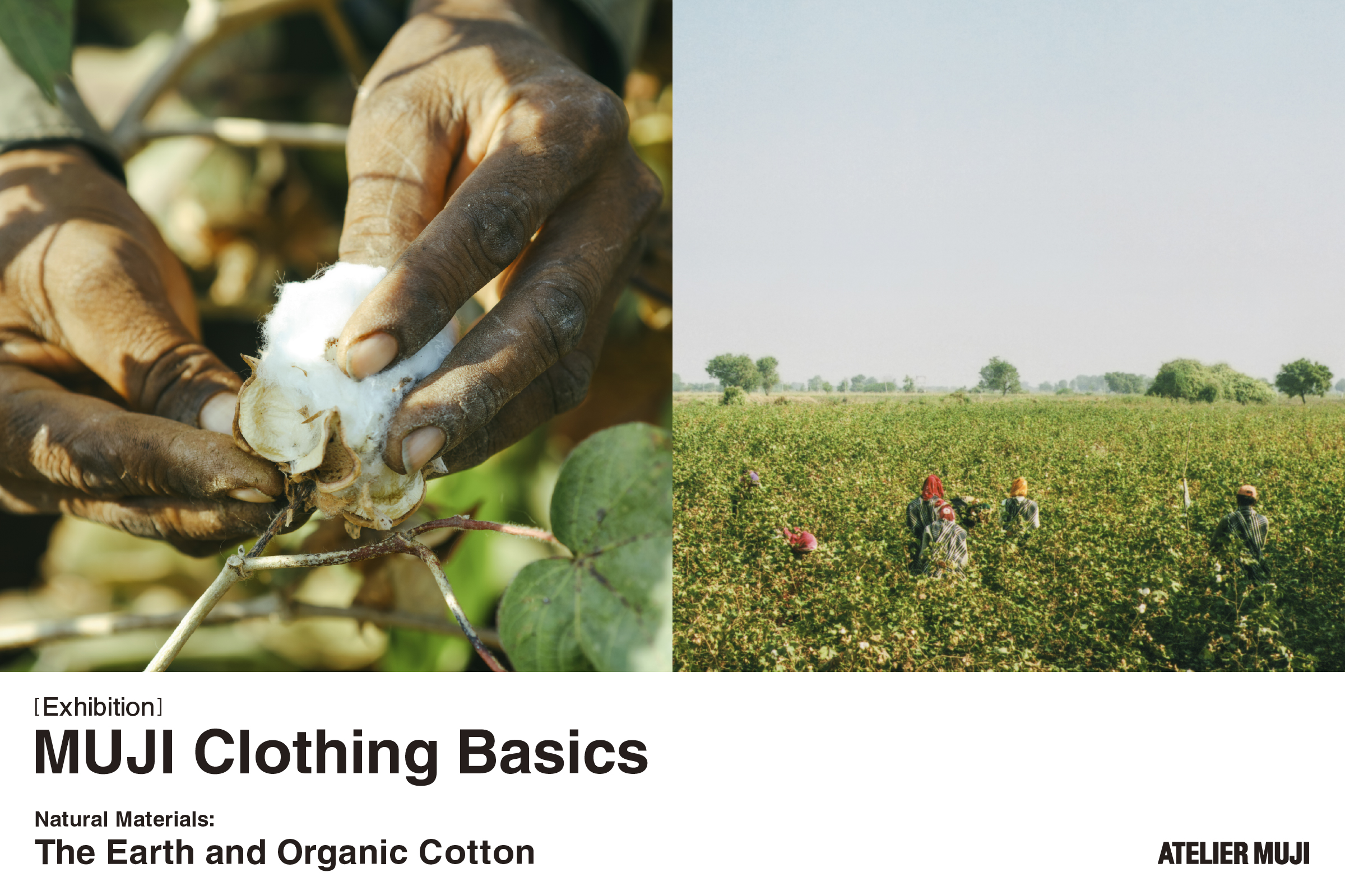 Clothing Basics Natural Materials: The Earth and Organic Cotton
